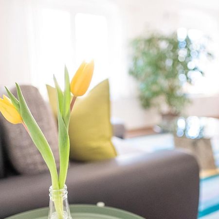 Helle Ferienwohnung Im Hinterhof Drezda Kültér fotó