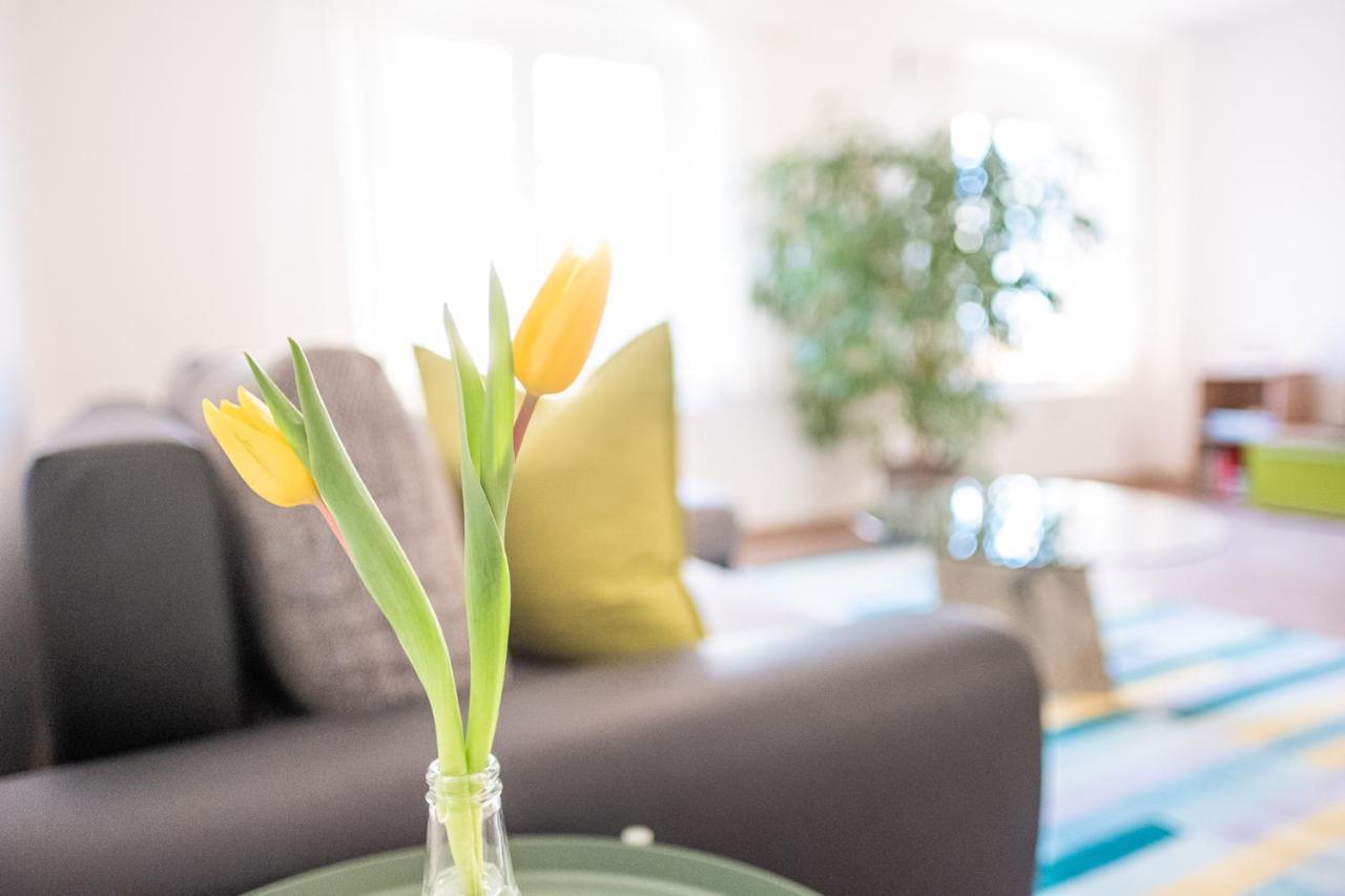 Helle Ferienwohnung Im Hinterhof Drezda Kültér fotó
